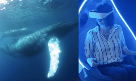 Swim with VR Whales at Florida Aquarium