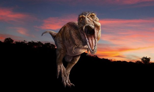 T. Rex Comes to Life in Natural History Museum VR Experience