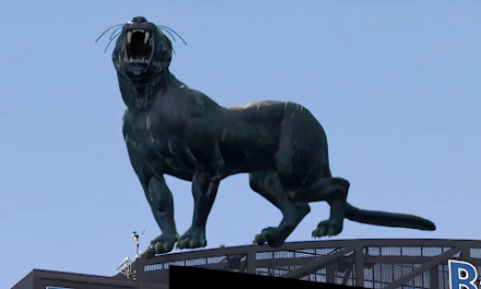 Carolina Panthers Debut AR Panther for the NFL Game